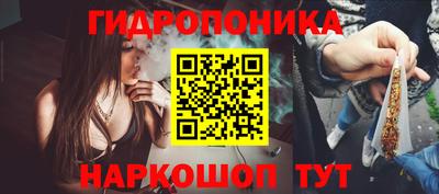 гидра Краснокаменск