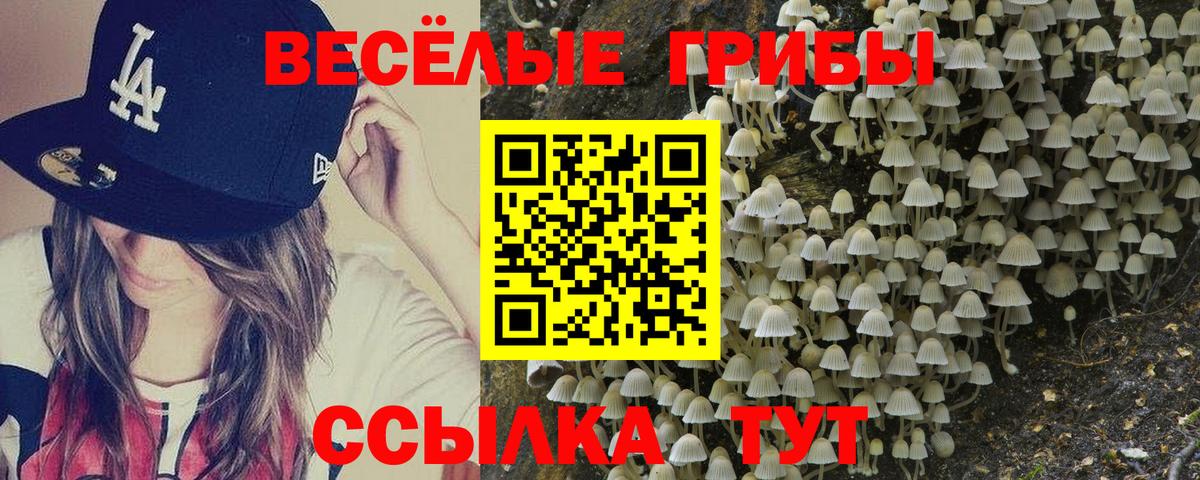 Псилоцибиновые грибы Magic Shrooms  Вход с VPN  Гусиноозёрск 